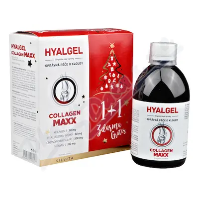 Hyalgel Collagen MAXX vánoční balení 2022 2x500ml