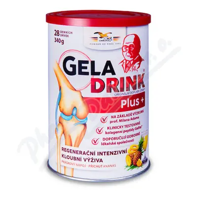 Geladrink Plus ananas 340g