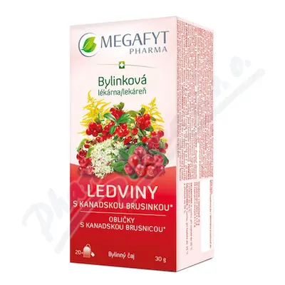 Megafyt Bylink.lékárna Ledviny s kan.brus.20x1.5g