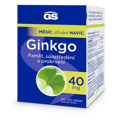 GS Ginkgo 40 mg, 90+30 tablet