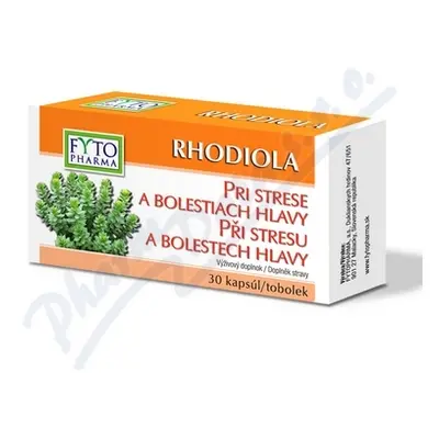 RHODIOLA tobolky při stresu 30ks Fytopharma