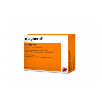 Magnerot 500mg tbl.nob.100 I