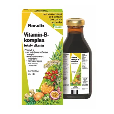 Salus Floradix Vitamin-B-komplex 250ml