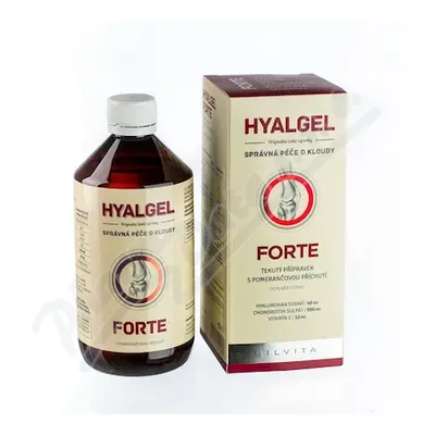 Hyalgel FORTE 500ml