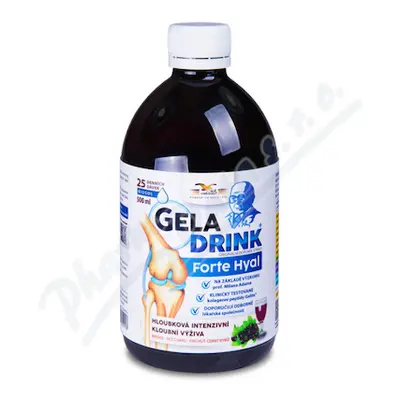 Geladrink FORTE HYAL biosol černý rybíz 500ml