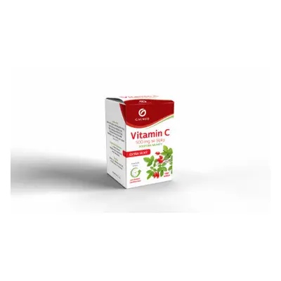 Vitamín C 500mg se šípky tbl.100 Galmed