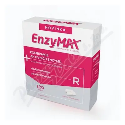 Enzymax R 120 cps.bls. CZE+SLO