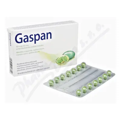 Gaspan 90mg/50mg cps.etm.14