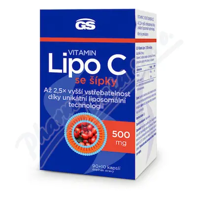 GS Vitamin Lipo C 500mg se šípky cps.90+10