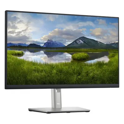 Dell Profesionální monitor - LCD 24" IPS LED DELL P2422H stav "B" - Repase