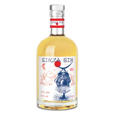 R. JELÍNEK Ginza Gin III 45% 0,7l