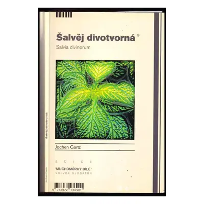 Šalvěj divotvorná : Salvia divinorum - Jochen Gartz (2008, Volvox Globator)