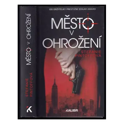 Město v ohrožení - Stefanie Pintoff (2018, Euromedia Group)