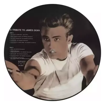 A Tribute To James Dean PIC : Picture Disc Vinyl - Ray Heindorf, The Warner Bros. Studio Orchest