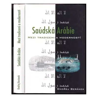 Saúdská Arábie : mezi tradicemi a moderností : domácí politika, salafíjská ideologie a zahraničn