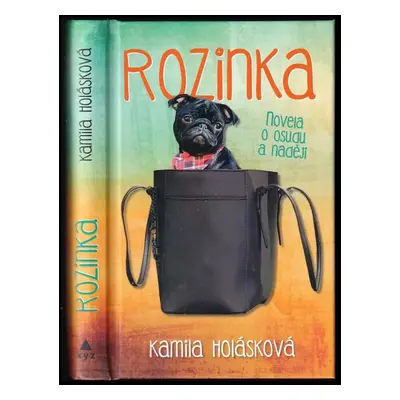 Rozinka : novela o osudu a naději - Kamila Holásková (2019, XYZ)