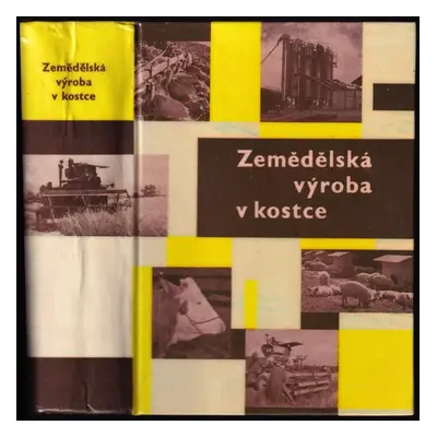 Zemědělská výroba v kostce - Jan Prchal, Vlastimil Forchtsam (1960, Státní zemědělské nakladatel