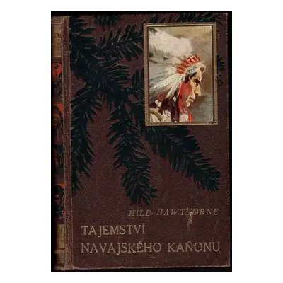 Tajemství navajského kaňonu - Hildegarde Hawthorne (1934, Toužimský & Moravec)