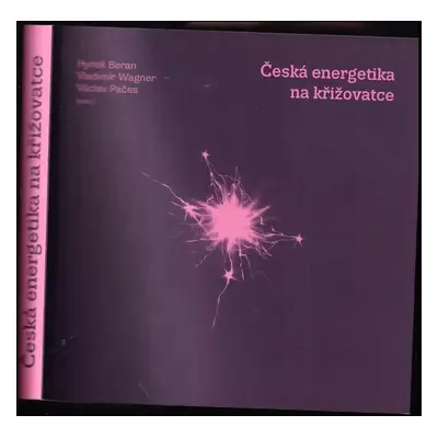 Česká energetika na křižovatce (2018, Management Press)