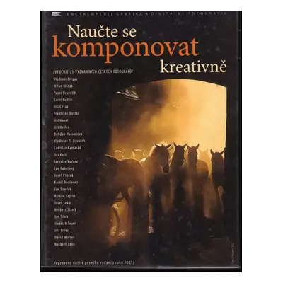 Naučte se komponovat kreativně : vyučuje 25 významných českých fotografů - Vladimir Birgus (2005