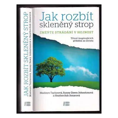 Jak rozbít skleněný strop : změňte strádání v hojnost : třicet inspirujících příběhů ze života -