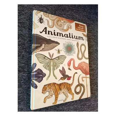 Animalium - Jenny Broom (2016, Albatros)