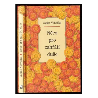 Něco pro zahřátí duše - Václav Větvička (2005, Jan Vašut)