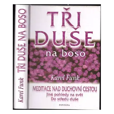 Tři duše na boso : malé meditace nad duchovní tvorbou Táni Fischerové, Dany Majdové, Václava Šve