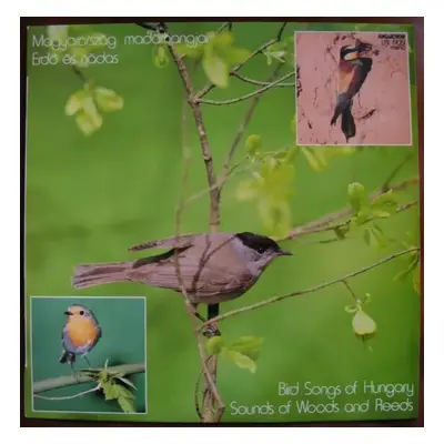 Magyarország Madárhangjai - Erdő És Nádas / Bird Songs Of Hungary - Sounds Of Wood And Reeds - D