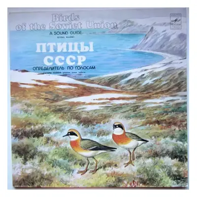 Гагары. Кулики: Pжaнки, Зyйки, Чибиcы = Divers. Waders : Red Labels Vinyl - Борис Вепринцев (198