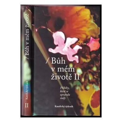 Bůh v mém životě II : příběhy, které se opravdu staly - II (2008, Katolický týdeník)