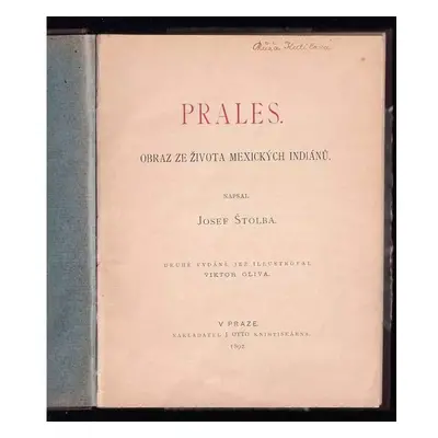 Prales : obraz ze života mexických Indiánů - Josef Štolba (1892, J. Otto)