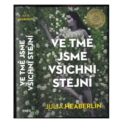 Ve tmě jsme všichni stejní - Julia Heaberlin (2021, Dobrovský s.r.o)