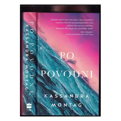 Po povodni - Kassandra Montag (2019, HarperCollins Polska sp. z o.o.)