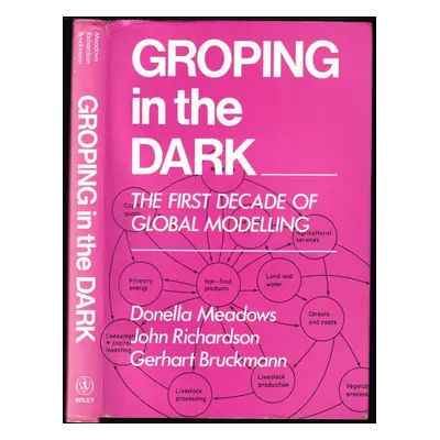 Groping in the Dark : The First Decade of Global Modelling - Donella H Meadows (1982, John Wiley