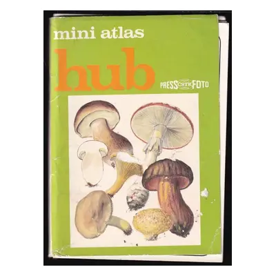 Mini atlas hub - Martin Červenka (1990, ČSTK-Pressfoto)