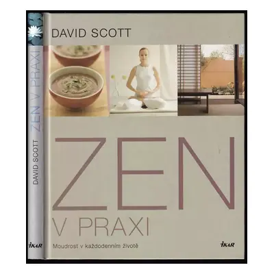 Zen v praxi - David Scott (2003, Ikar)