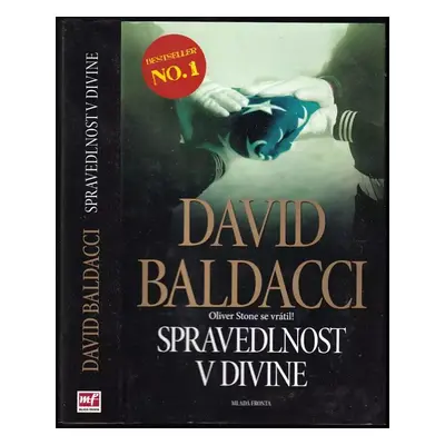 Spravedlnost v Divine - David Baldacci (2011, Mladá fronta)