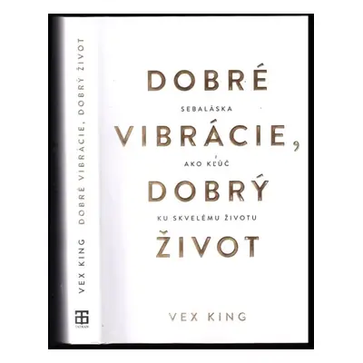 Dobré vibrácie, dobrý život : sebaláska ako kľúč ku skvelému životu - Vex King (2021)