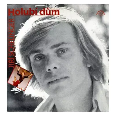 Holubí Dům - Jiří Schelinger (1991, Supraphon)