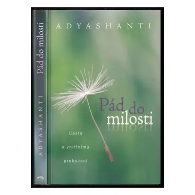 Pád do milosti : cesta k vnitřnímu probuzení - Adyashanti (2014, Synergie)