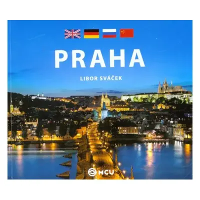 Praha - Libor Sváček (2013, MCU)