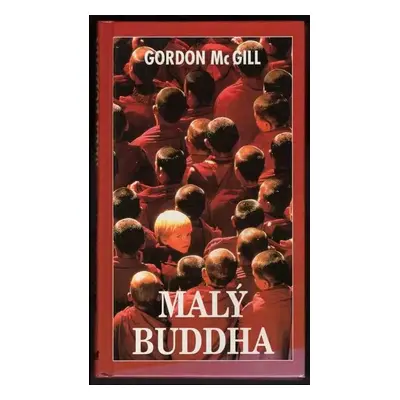 Malý Buddha - Gordon McGill, Rudolph Wurlitzer, Mark Peploe (1994, Mht)