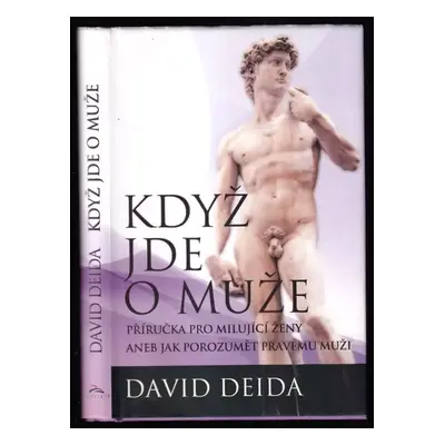 Když jde o muže - David Deida (2013, Synergie)