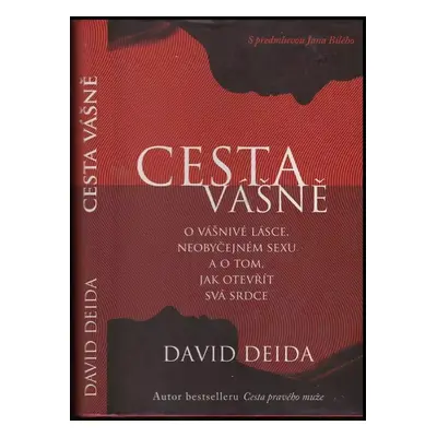 Cesta vášně : o vášnivé lásce, neobyčejném sexu a o tom, jak otevřít svá srdce - David Deida (20