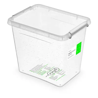 antibakter.box 3,0 l 19,5x15x16cm,transp.plast