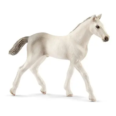 SCHLEICH Zvířátko - holštýnské hříbě