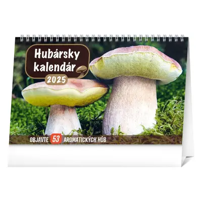 Baagl NOTIQUE Stolový Hubársky kalendár 2025, 23,1 x 14,5 cm