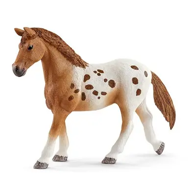 Schleich Set appalosští koně a tréninkové příslušenstí 42433