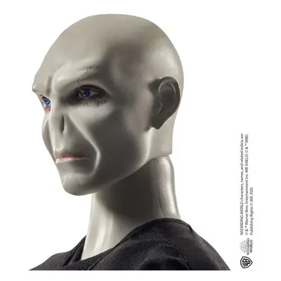 HP HARRY POTTER A VOLDEMORT PANENKA 2-PACK